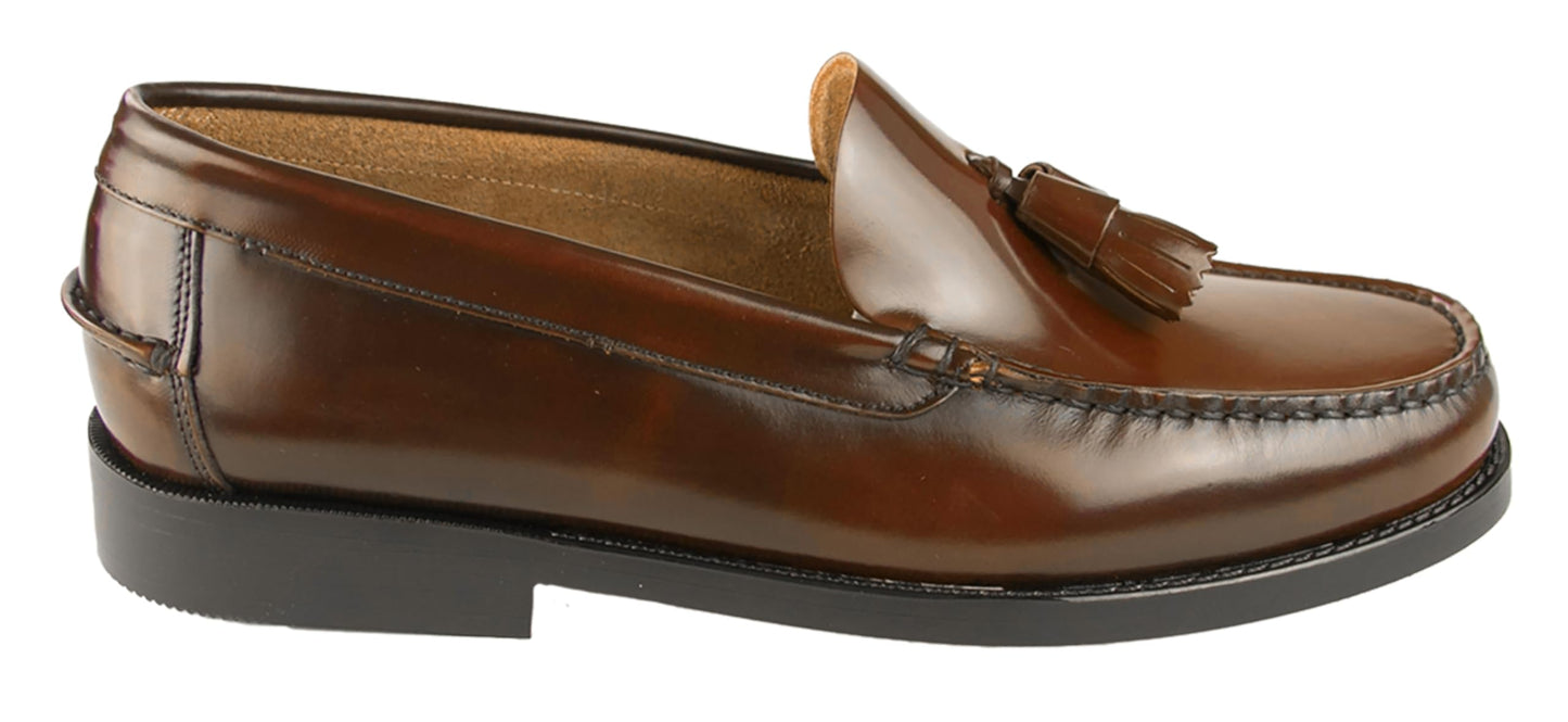 Zapatos Casuales Hombre